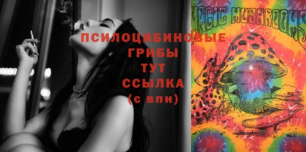 МДМА Белокуриха