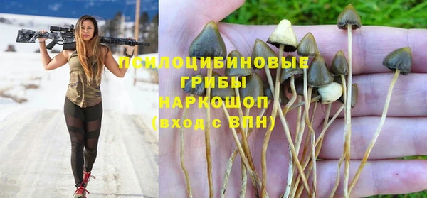 МДМА Белокуриха