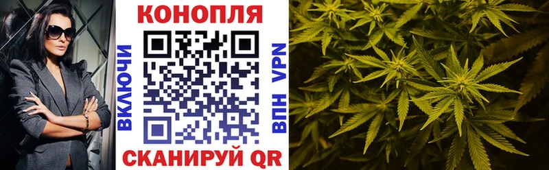 omg рабочий сайт  как найти   Славгород  Бошки марихуана планчик 